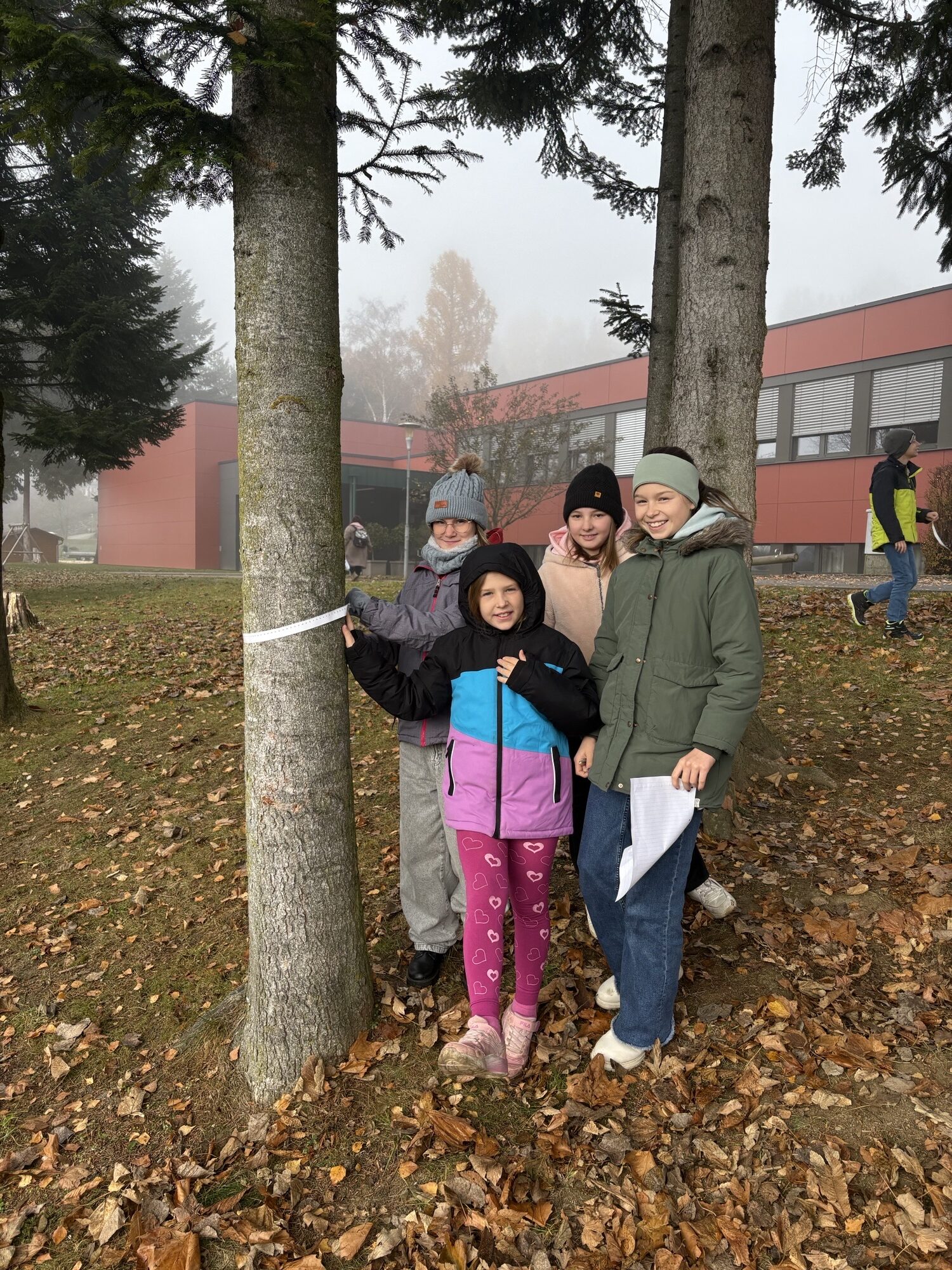 Mehr über den Artikel erfahren VS KAMMERN – MATHEMATIKUNTERRICHT IM SCHULGARTEN – 2025