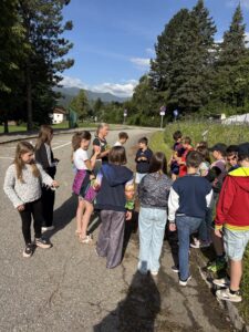 Mehr über den Artikel erfahren VS KAMMERN – BESUCH DER KRÄUTERPÄDAGOGIN – JUNI 2026